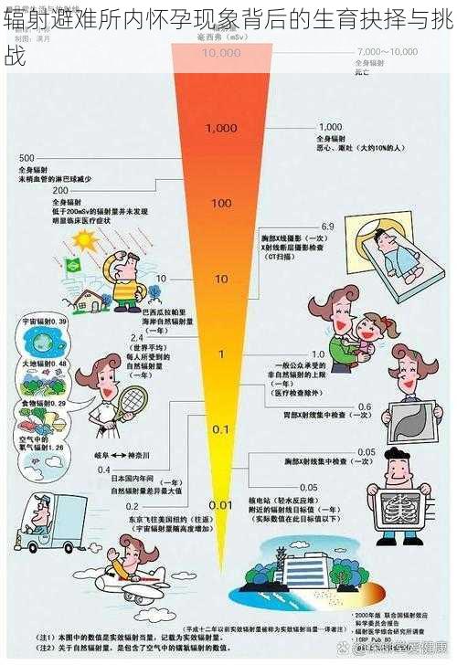 辐射避难所内怀孕现象背后的生育抉择与挑战