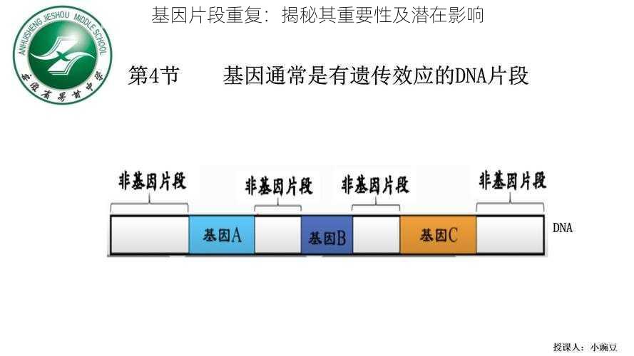 基因片段重复：揭秘其重要性及潜在影响