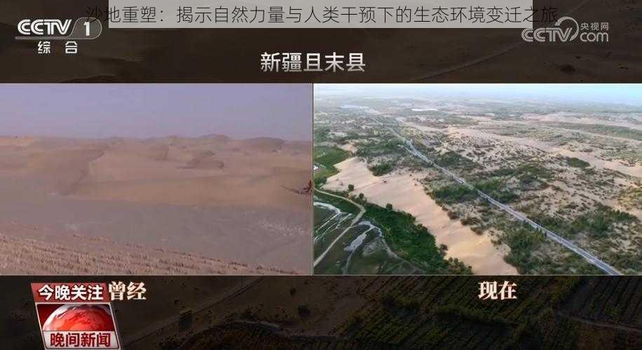 沙地重塑：揭示自然力量与人类干预下的生态环境变迁之旅