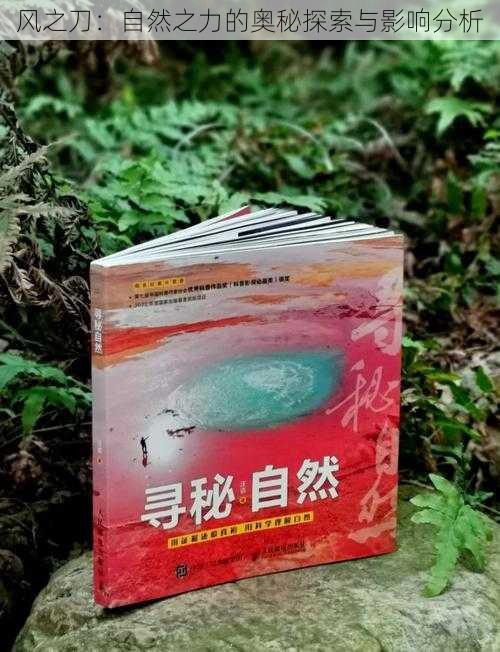 风之刀：自然之力的奥秘探索与影响分析